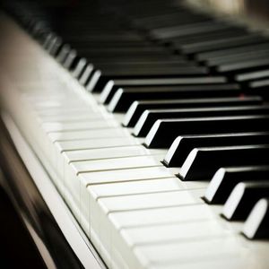 a性美少妇淫秽片
