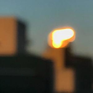 a性美少妇淫秽片
