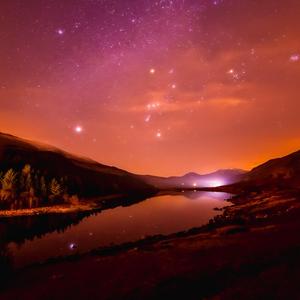 a性美少妇淫秽片
